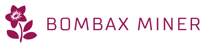 BOMBAX MINER BOMBAX MINER
